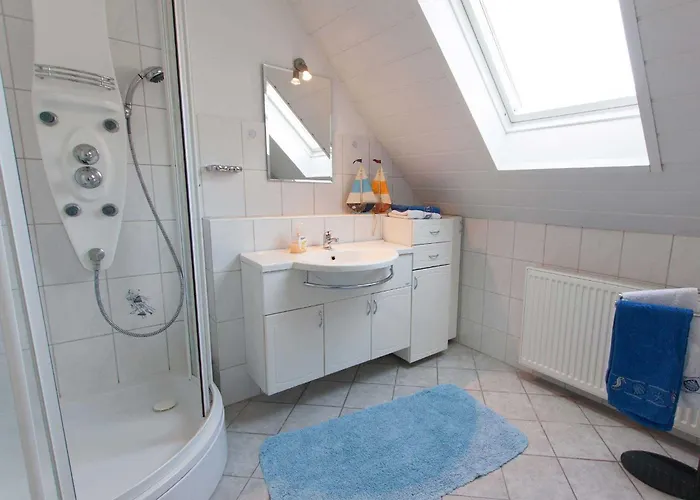 Brinkmann 卡罗利嫩西尔